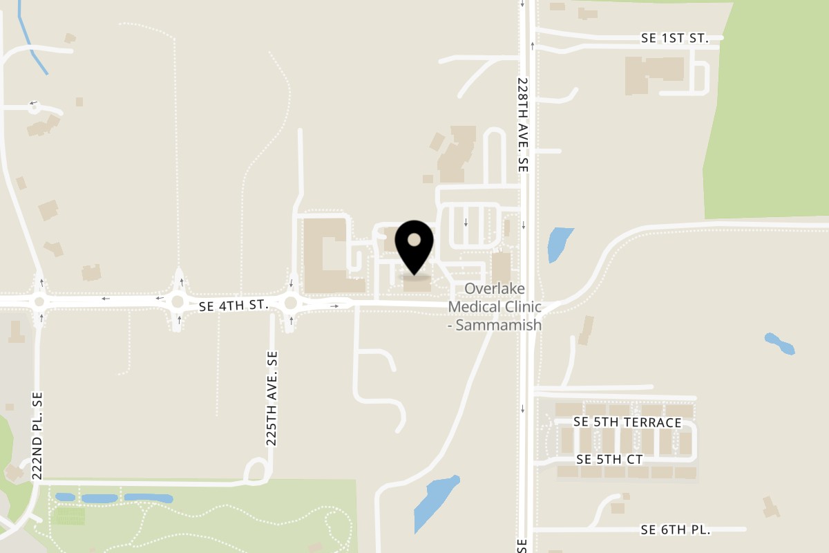 Map showing the location of Papaya Viet Restaurant Sammamish on 22610 SE 4th St Ste 402 in Sammamish